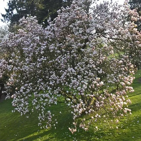 Bed & Breakfast L'aubergine Sprimont